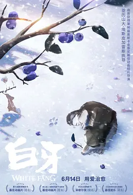 男男chinese